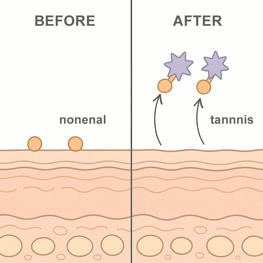 It Destroys the Odor at the Source — It Doesn't Mask It